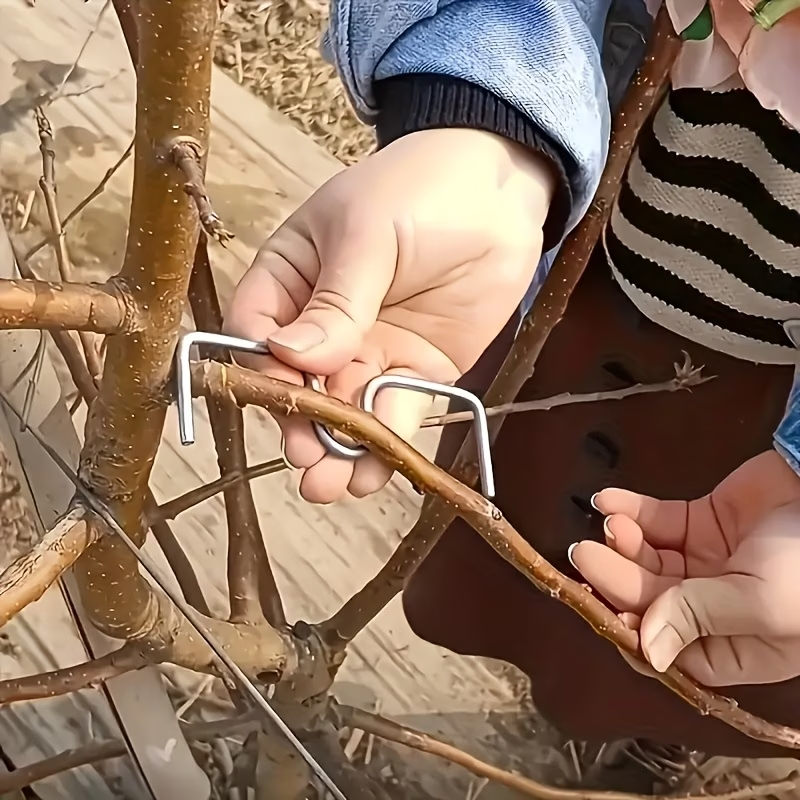 25 PCS Fruit Branch Bending To – Power Tools You Need Bewertung und Preis