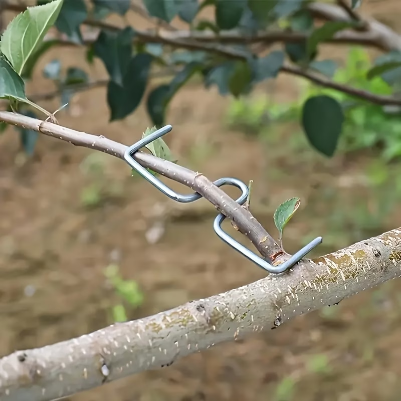 25 PCS Fruit Branch Bending To – Power Tools You Need Bewertung und Preis